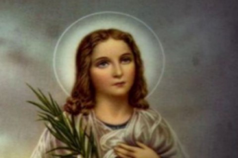 O Santo do Dia | Domingo 06/07