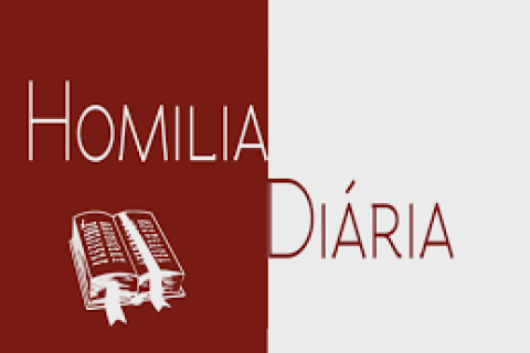 Homilia Diária | Domingo 06/07